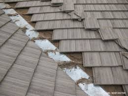 debris in your gutters