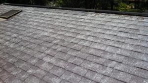 Fiberglass Showing on roof times