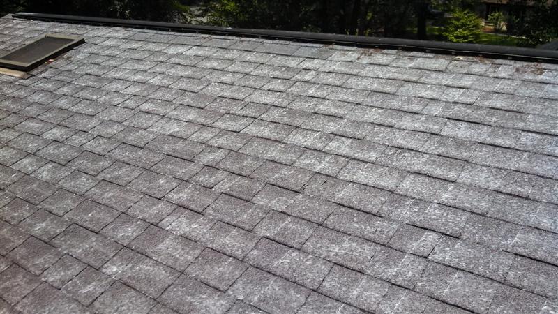 Fiberglass-Showing - Clean Roofing