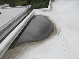 ponding water on your roof
